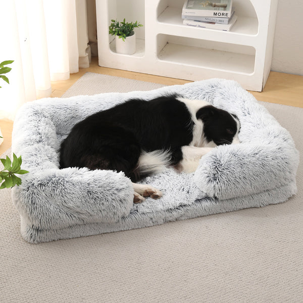 Beds & Comfort